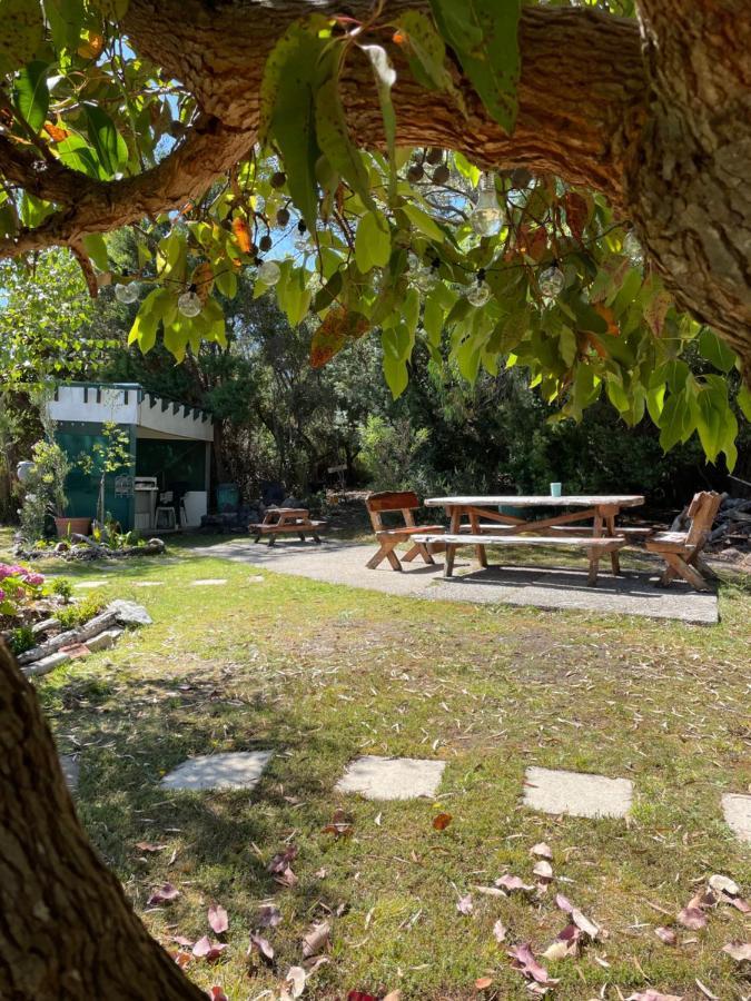 Strahan Wilderness Lodge מראה חיצוני תמונה