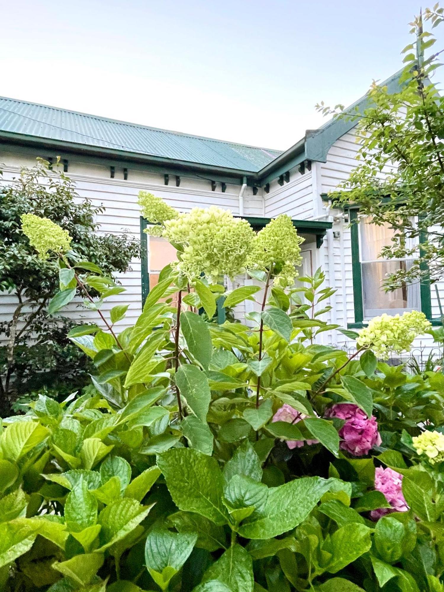 Strahan Wilderness Lodge מראה חיצוני תמונה